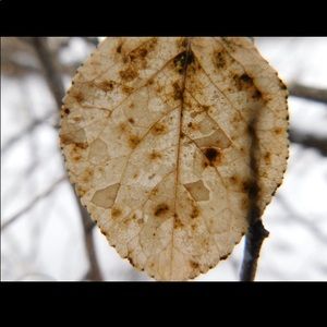 Meet your Posher, Brooklynn